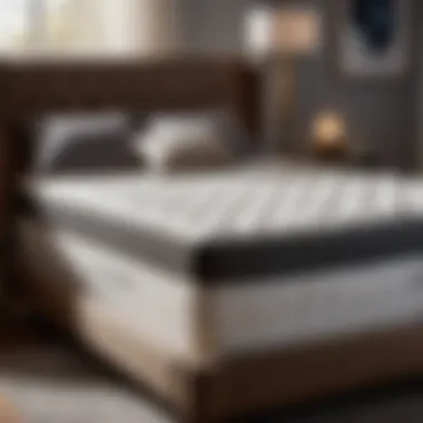 Adjustable Firmness twin mattress