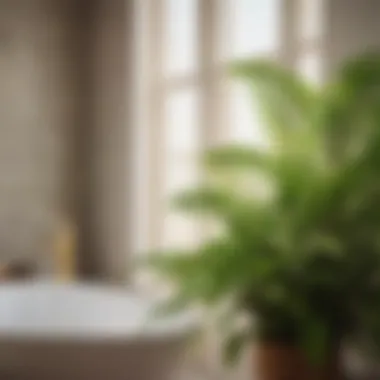 Air-purifying plant in bathroom