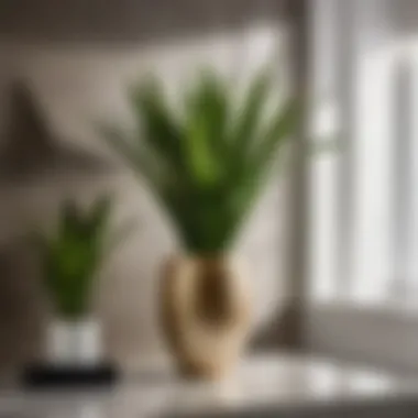 Purifying Atmosphere with a Snake Plant in Your Bathroom Air-Purifying Snake Plant in Bathroom