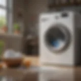 An In-Depth Examination of Ingredients in 7th Generation Laundry Detergent Introduction