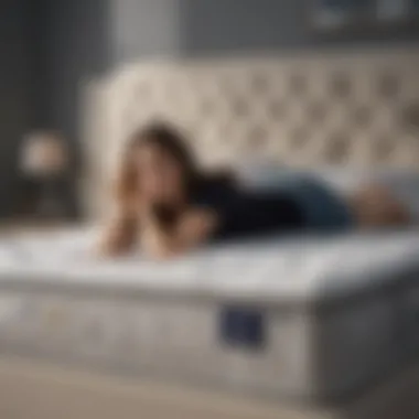 Customer Insights on Serta Mattresses Customer review section focusing on Serta king mattresses