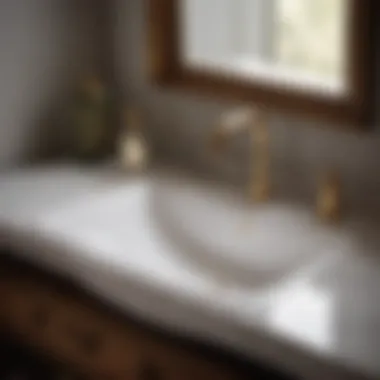 Timeless Sophistication: Porcelain Drop-In Sink Porcelain drop-in sink highlighting timeless bathroom style