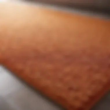 Close-up of antibacterial coating on a bathroom mat