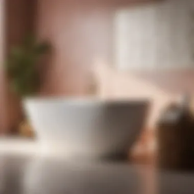 The Precise Application of Antifungal Paint Antifungal Paint Application