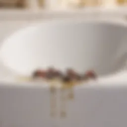 Ants crawling in bathroom sink drain