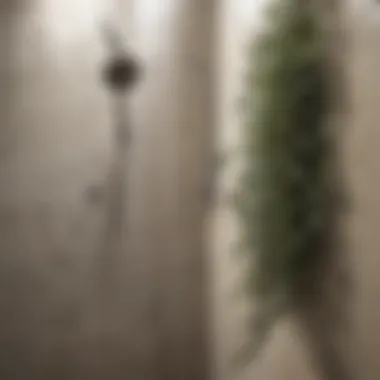 Eucalyptus Infused Shower Experience Aromatic Eucalyptus Shower Bundle