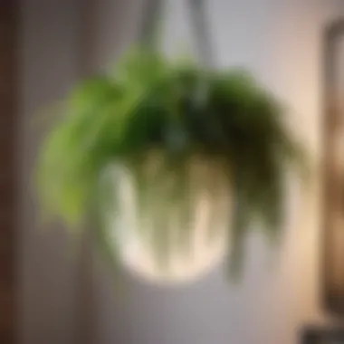 Artificial indoor plant in modern hanging planter