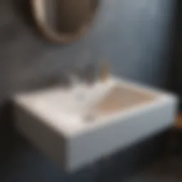 Contemporary basin sink design in a laundry setting