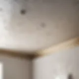 Water Stains on Bathroom Ceiling