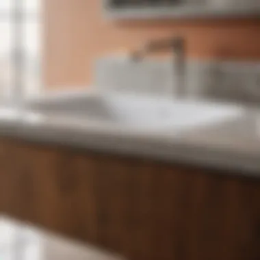 Variety of bathroom countertop materials