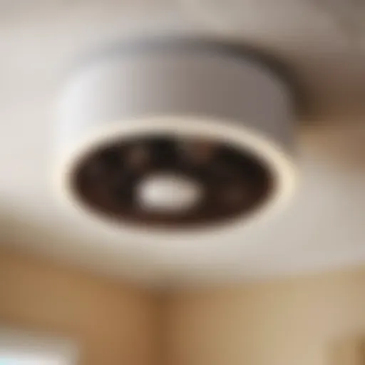 Bathroom Fan Motor Replacement