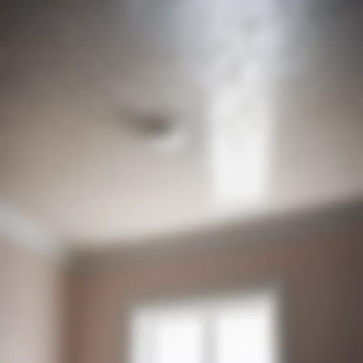 Water Stains on Ceiling