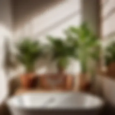 Artistic Shadow Play with Bathroom Plants Shadow play of bathroom plants under warm light