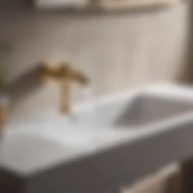 Elevate Your Bathroom with a Garden Hose Adapter Modern bathroom sink with garden hose adapter