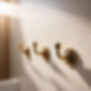 Wall-Mounted Hooks Wall-mounted hooks for maximizing bathroom space