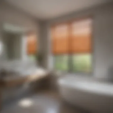 Energy Efficiency of Bathroom Windows with Integrated Blinds Energy-efficient bathroom window with blinds, emphasizing eco-friendly features