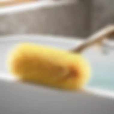 Natural Bristle Bathtub Scrubber Bathtub Cleaning Brush with Natural Bristles