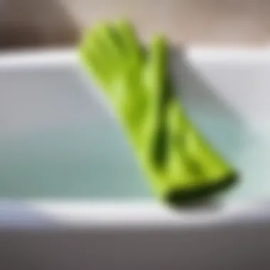 Aloe Vera Infused Cleaning Gloves Bathtub Cleaning Gloves with Aloe Vera Lining