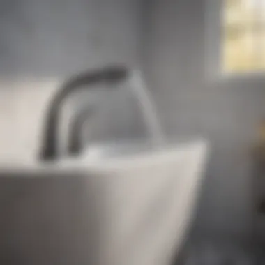 Essential Maintenance Tips for Bathtub Faucets Maintenance tips for bathtub faucets with handheld sprayers