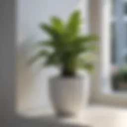 Artificial Silk Plant in Elegant White Pot