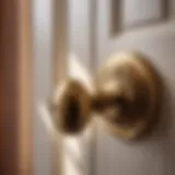 Elegant bedroom door knob without lock