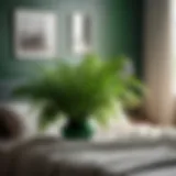 Lush green plant with delicate leaves in bedroom