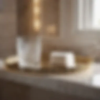 Graceful Bathroom Tray by Bella Lux