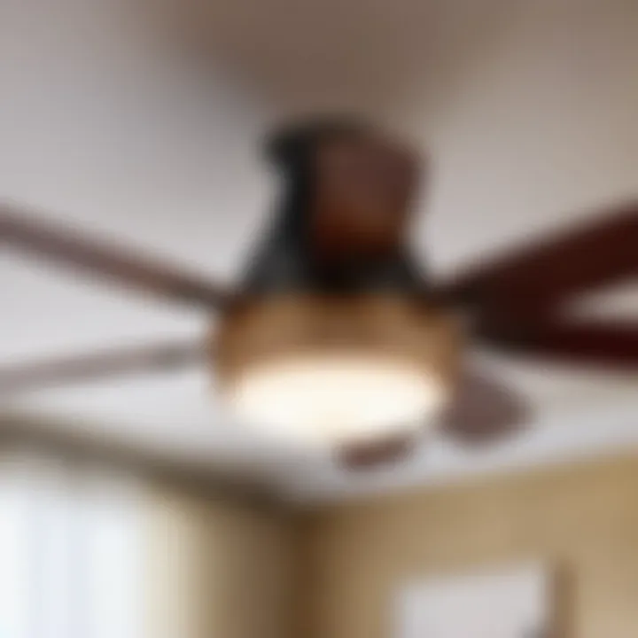 Energy-Efficient Ceiling Fan