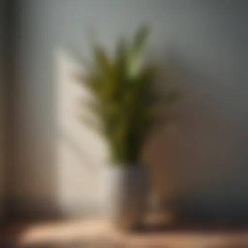 Lush foliage of a snake plant in a stylish indoor setting