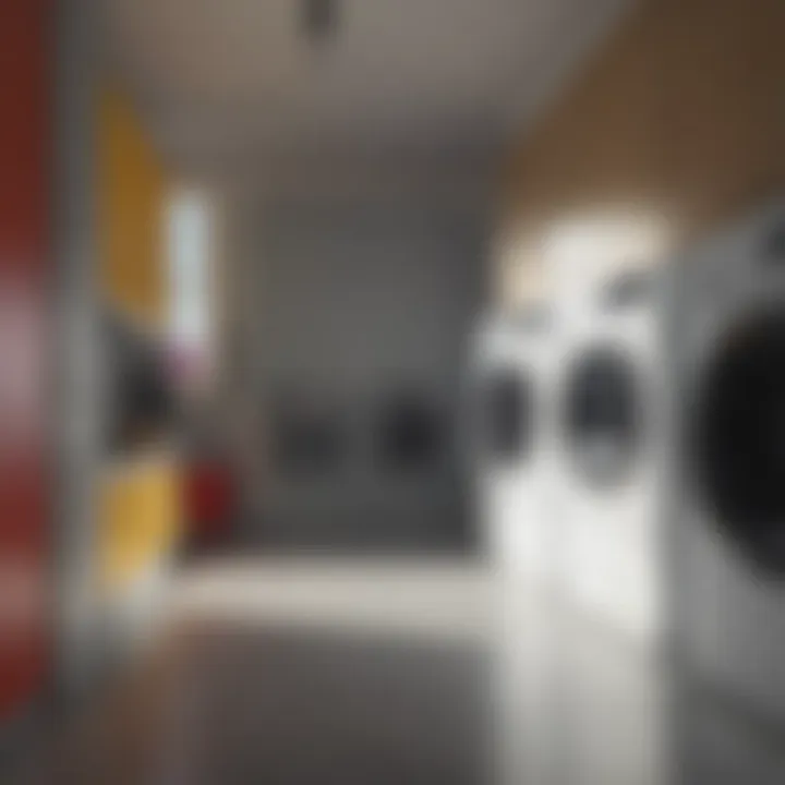 Color-coded bins for laundry organization