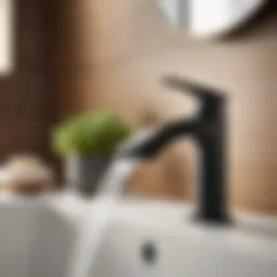 Modern Moen Faucet in Matte Black Finish
