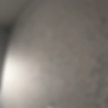 Adhesion Test for Mold-Resistant Paint Mold-resistant paint adhesion test