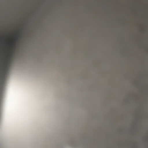 Adhesion Test for Mold-Resistant Paint Mold-resistant paint adhesion test