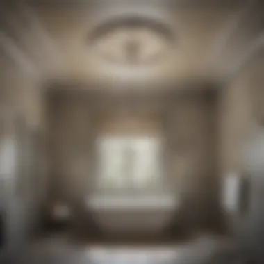 Elevated Aesthetics with Mold-Resistant Ceiling Paint Top view of bathroom ceiling coated with mold-resistant paint