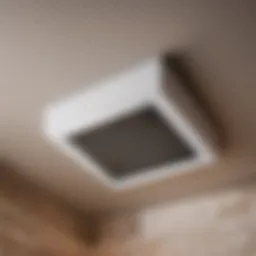 Bird-Proof Vent Cover