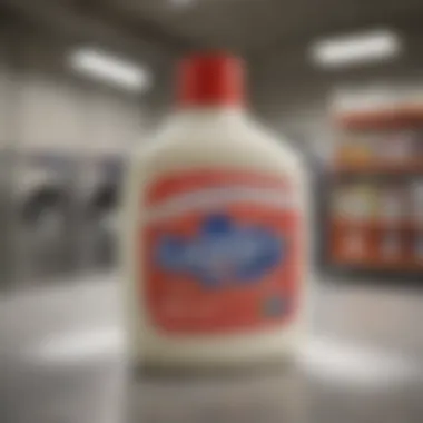 Market Positioning of Biz Laundry Soap Market positioning and consumer preferences for Biz laundry soap