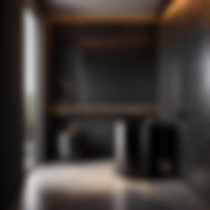 Luxurious Accent - Modern Interior Showcase Black Bathroom Garbage Bin in Modern Luxury Setting