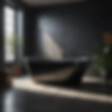 Luxury Soaking Experience Black freestanding bathtub against dark backdrop