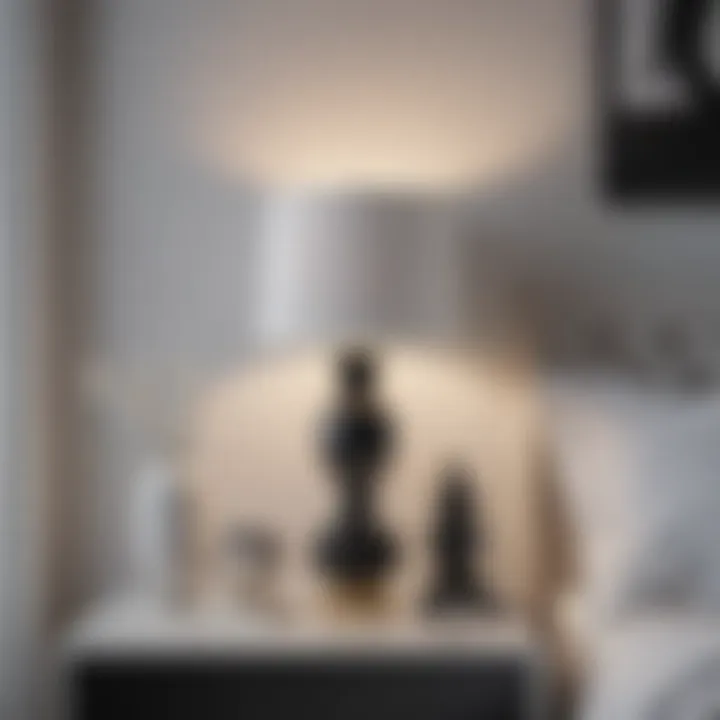 Stylish black lamp contrasting with white decor