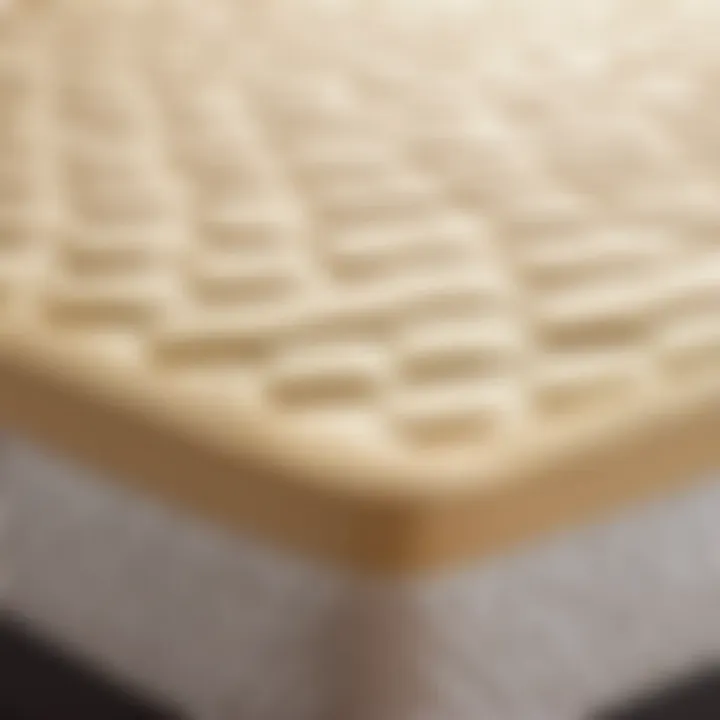 Natural Latex Comfort Layers