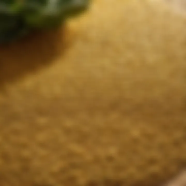 Textural Elegance Close-up of botanical bath mat texture