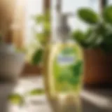 Nurturing Botanical Extracts in Gentle Detergent Botanical Extracts in Gentle Detergent