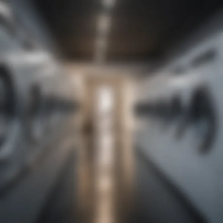Tech Integration: Revolutionizing Laundry Services High-Tech Laundry Monitoring System