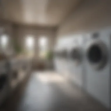 Unparalleled Quality: The Benchmark in Laundry Services Quality Assurance in Laundry Services