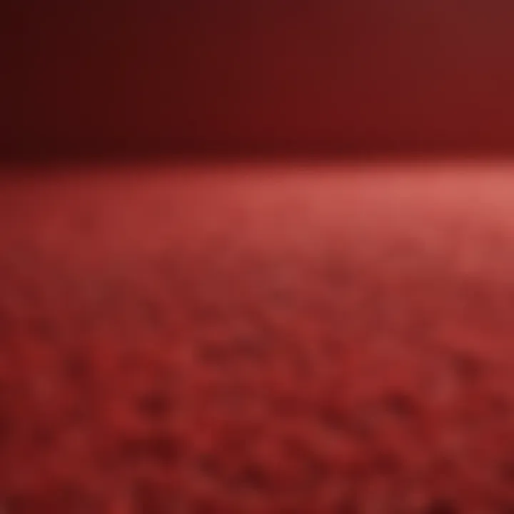 Close-Up of Bright Red Bathroom Rug Texture Close-up of texture and material of bathroom rug