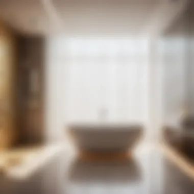 Challenges and Solutions in Bathroom Design