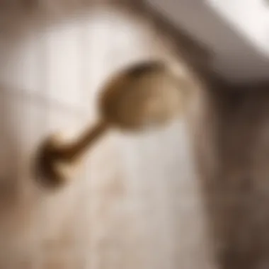 Indulgent Shower Experience Champagne Bronze Shower Head