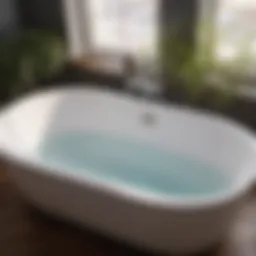Chemical-Free Drain Cleaner