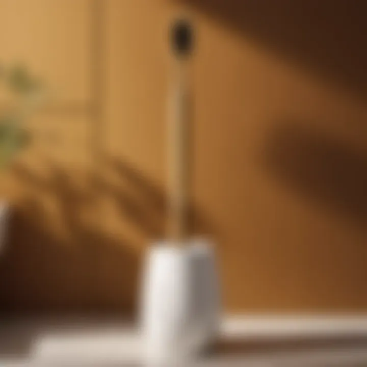Chic Bamboo Toilet Brush Set
