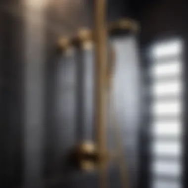 Sophisticated Black & Gold Shower Fittings Chic black and gold shower hardware